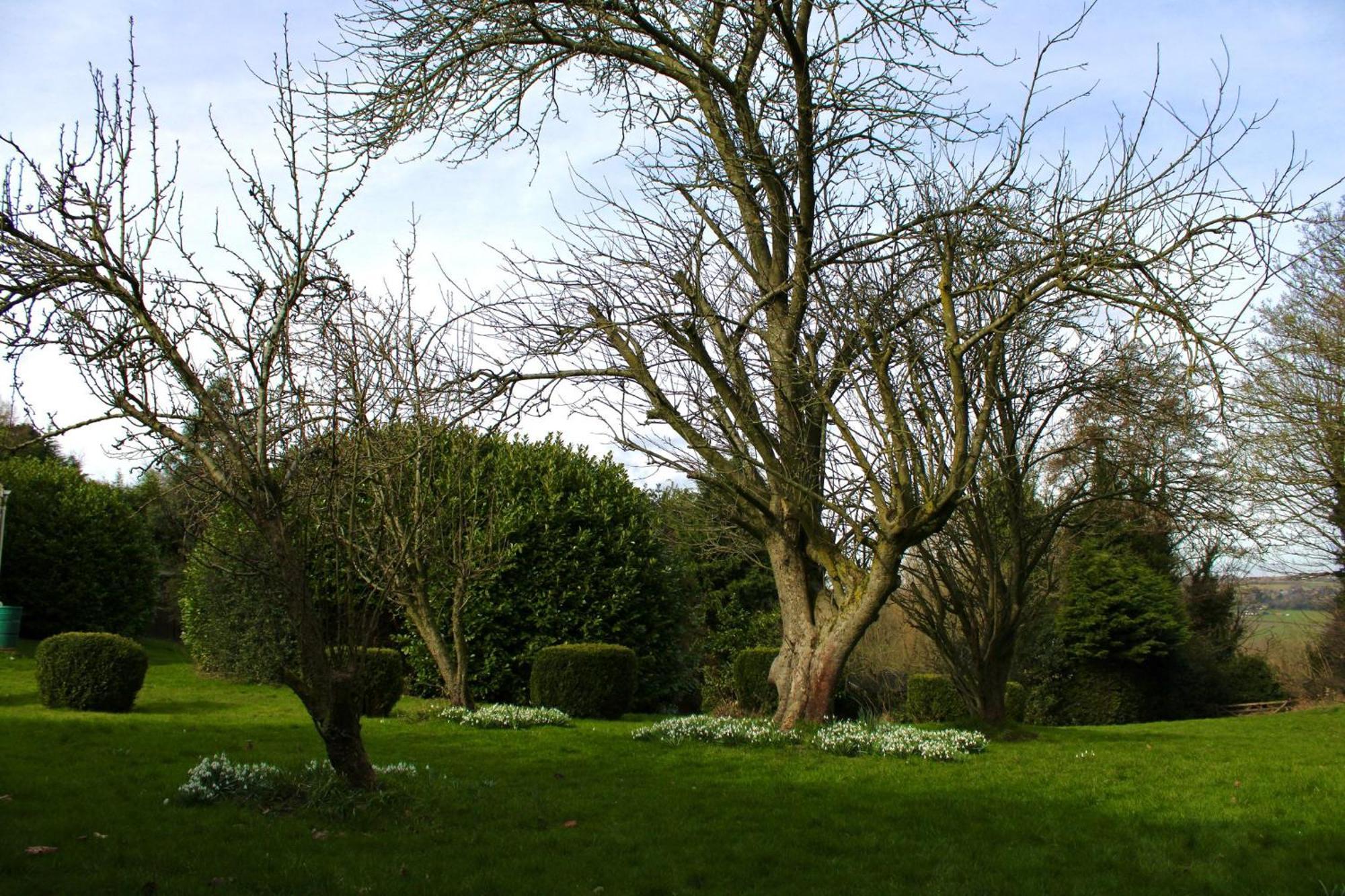 Rural Retreat With Hot Tub, Fire Pit & Games * Sheffield